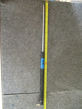 Load image into Gallery viewer, AVM K303-17-50 Gas Spring New
