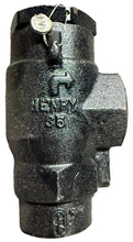 Load image into Gallery viewer, Henry Technologies 5601-150 Valve, Safty Relief
