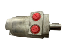 Load image into Gallery viewer, White Hydraulics 270130F3110ZAAAA Hydraulic Motor Plated
