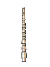 Load image into Gallery viewer, FP Diesel 3066877-D Camshaft KTA19, QSK19
