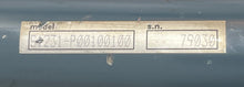 Load image into Gallery viewer, Ricon S1231-P00100100 Lift Cylinder
