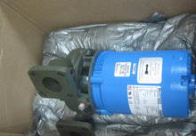 Load image into Gallery viewer, GOULDS 2672030101 PUMP
