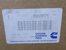 Load image into Gallery viewer, 3803973 Cummins Cylinder Kit, For L10 Superceded by 3800801 Genuine OEM
