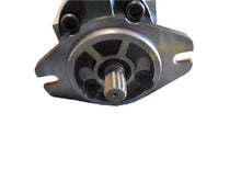 Load image into Gallery viewer, Dynamatic Limited C28.0/18-5L 37785 Tandem Pump
