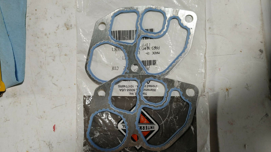 International Gasket 183165C1 New