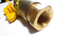 Load image into Gallery viewer, Dormont CF-75 3/4" Quick Disconnect Female Coupler Cimfast
