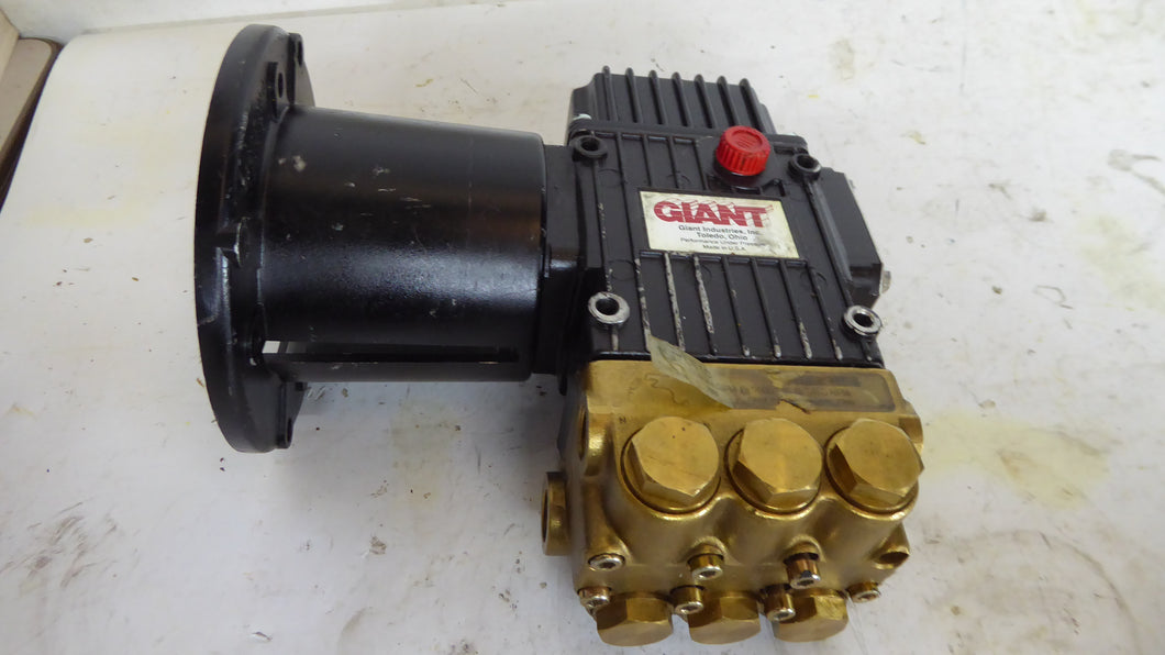 Giant P217LE1C Pump