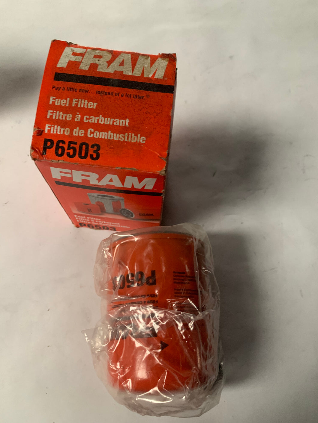 P6503 - Fram