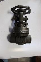 Load image into Gallery viewer, Bonney Forge HL11-LE, 157837-026 3/4" Gate Valve
