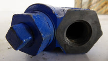 Load image into Gallery viewer, Sure-Flow YT250J Iron Y Strainer 3/4"
